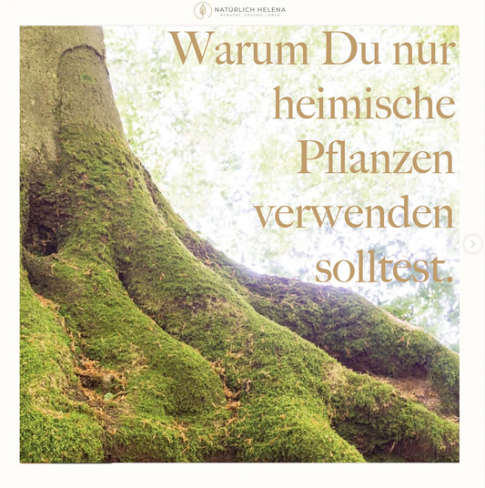 Warum Du nur heimische Pflanzen verwenden solltest!