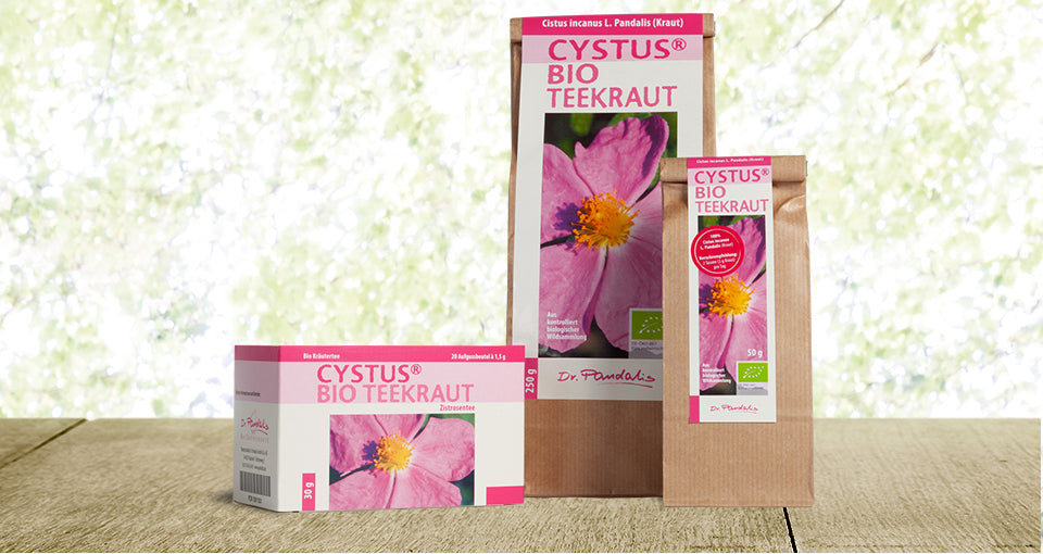 I LOVE CYSTUS® Tee - Vorteilspaket - Dr. Pandalis CYSTUS® Bio Tee